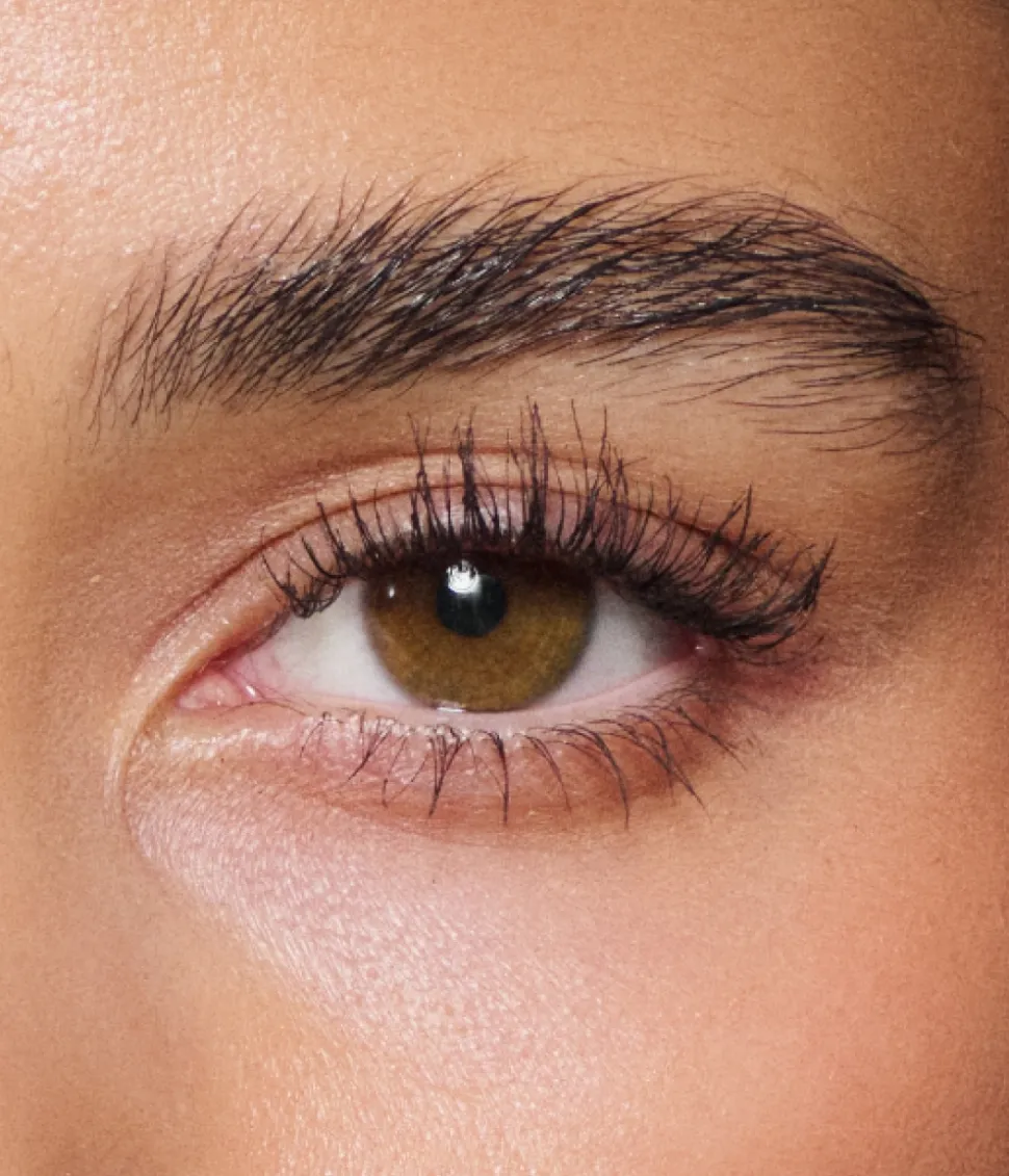 BIBBZ BOOM BOOM LASHES