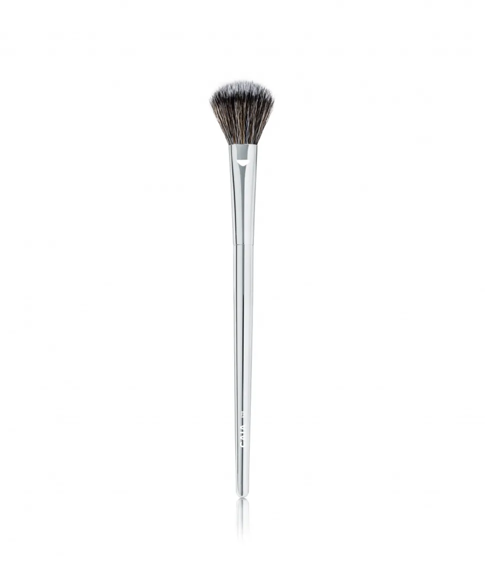DETAILED HIGHLIGHTER BRUSH F23