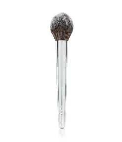 POINTED POWDER BRUSH F10