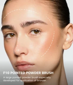 POINTED POWDER BRUSH F10