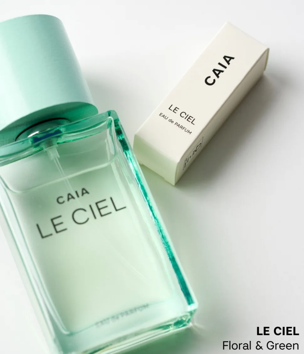 THE DISCOVERY COLLECTION