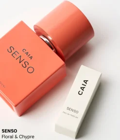 THE DISCOVERY COLLECTION